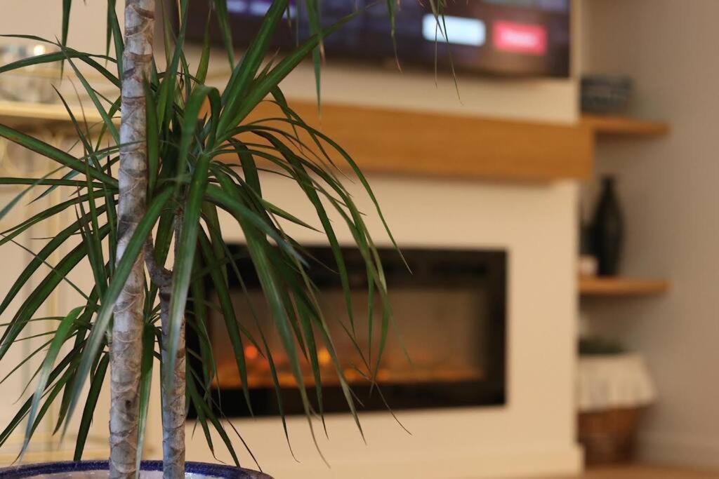 Lc Apartaments Voramar Benicàssim Buitenkant foto